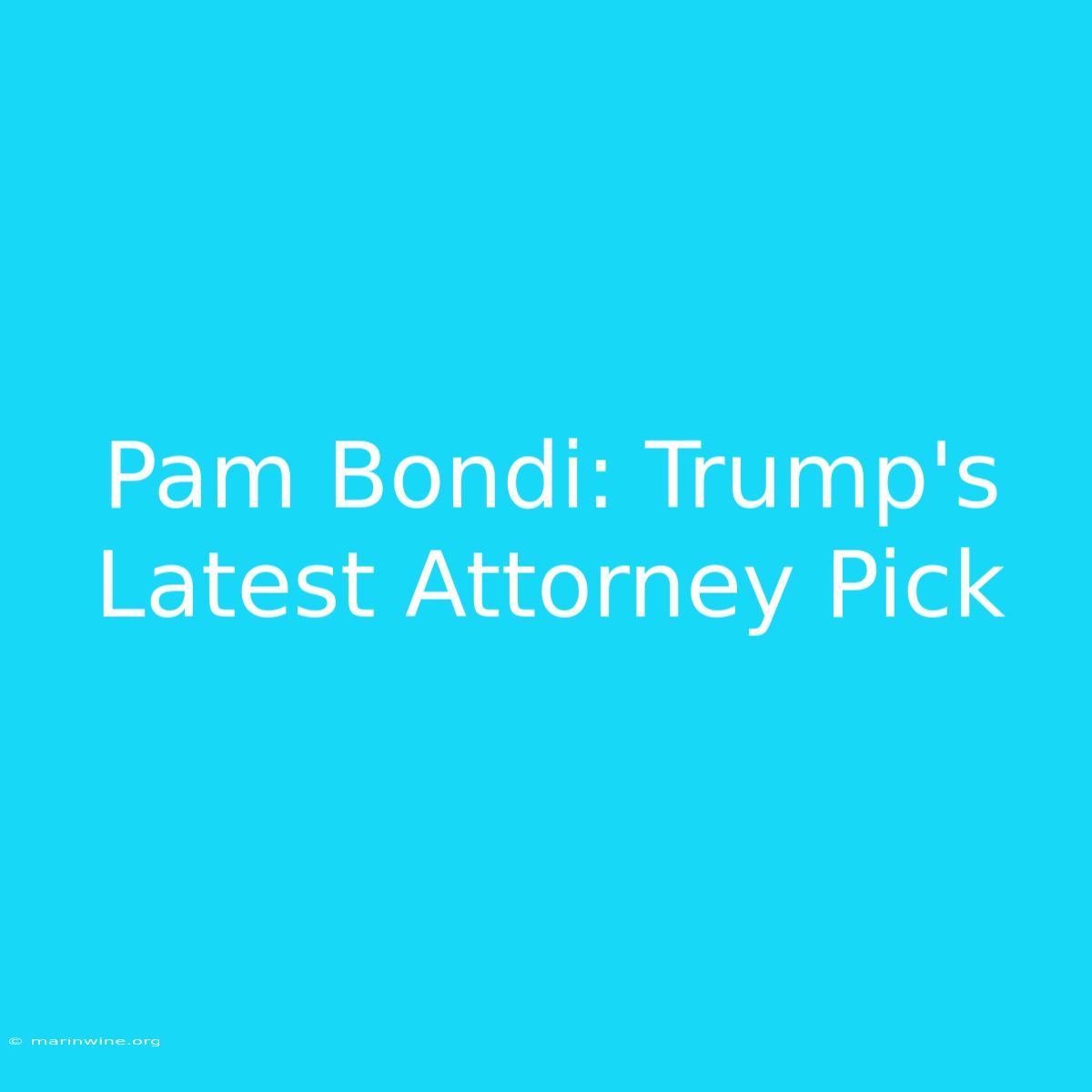 Pam Bondi: Trump's Latest Attorney Pick