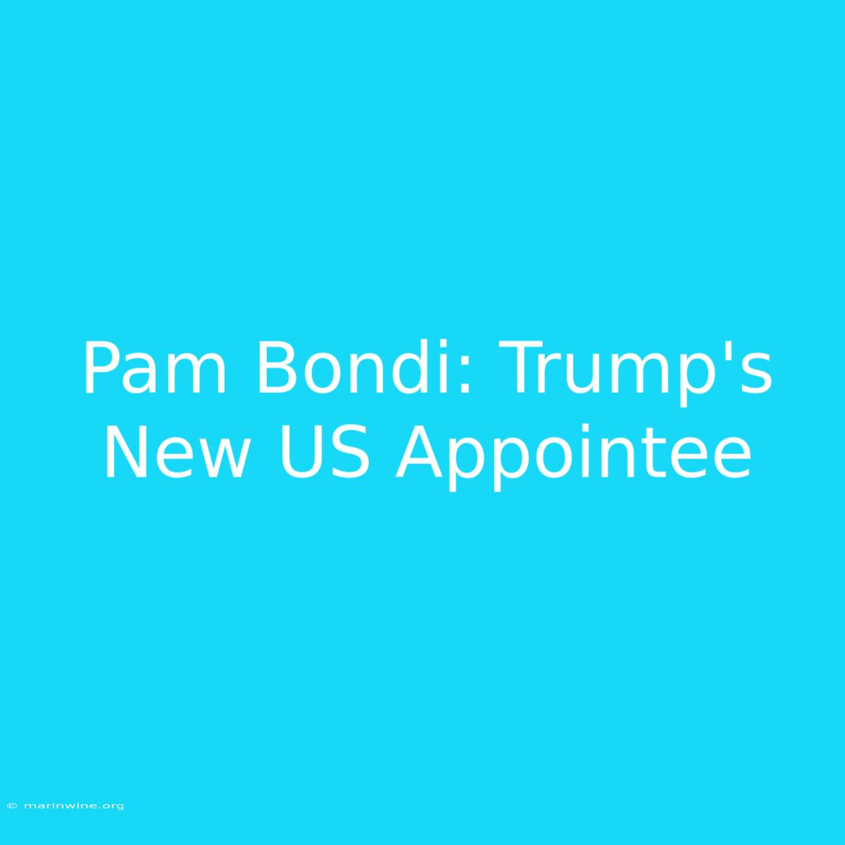 Pam Bondi: Trump's New US Appointee