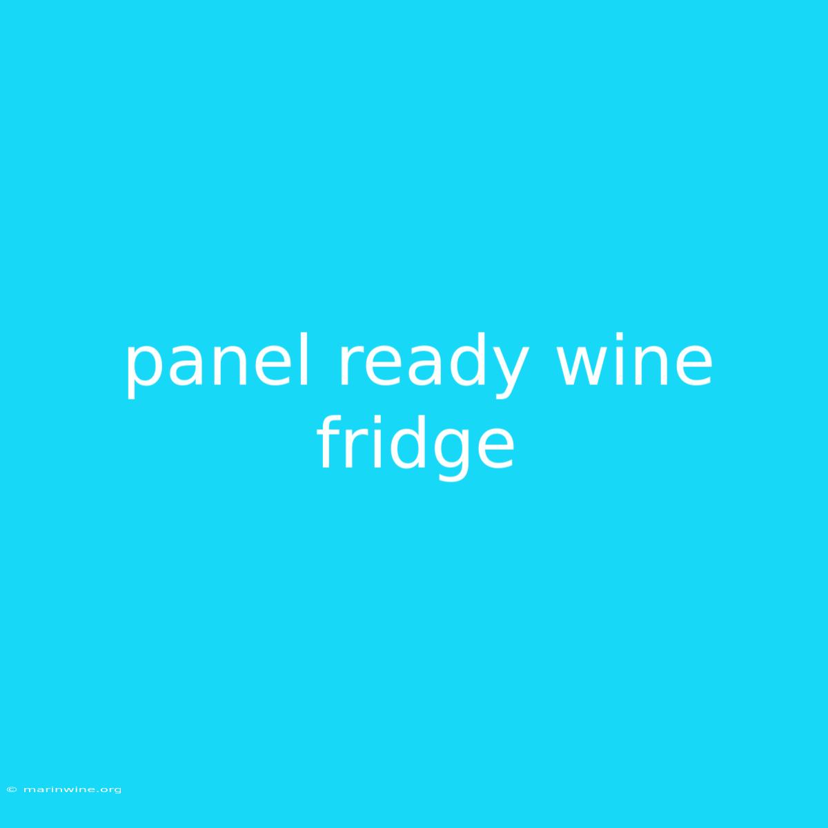 Panel Ready Wine Fridge