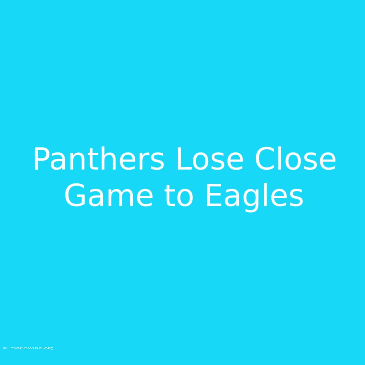 Panthers Lose Close Game To Eagles