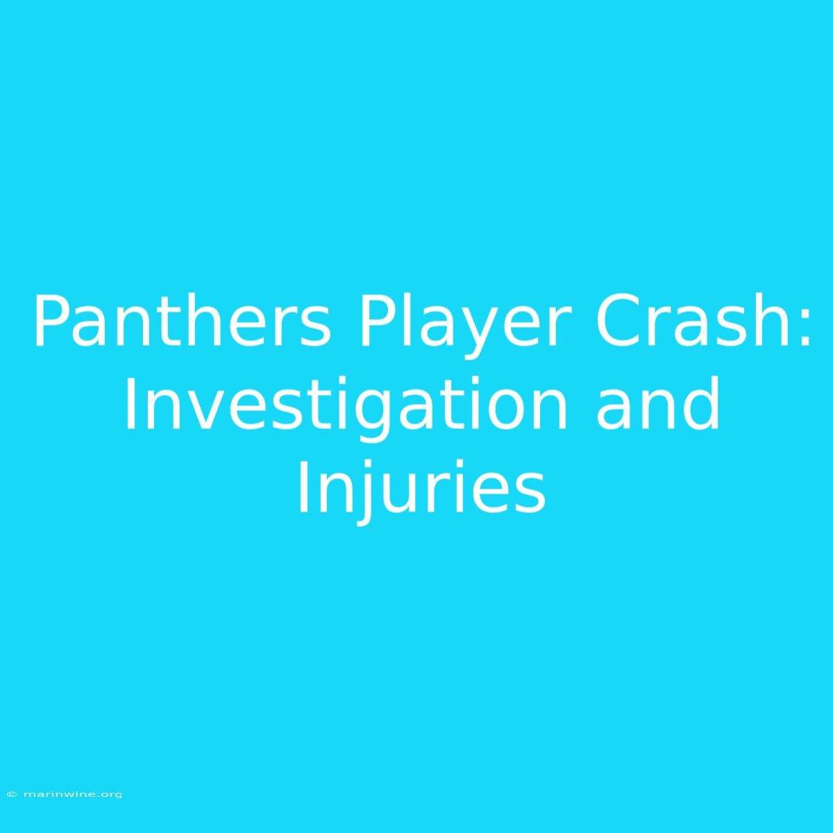 Panthers Player Crash: Investigation And Injuries 