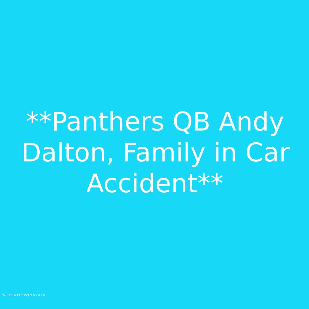 **Panthers QB Andy Dalton, Family In Car Accident**