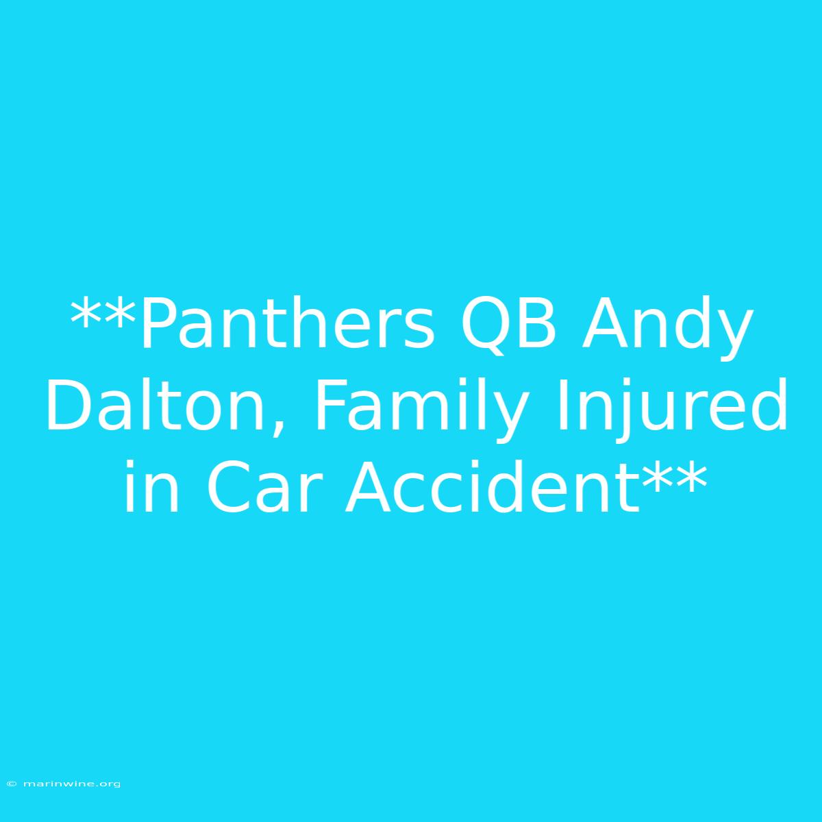 **Panthers QB Andy Dalton, Family Injured In Car Accident** 