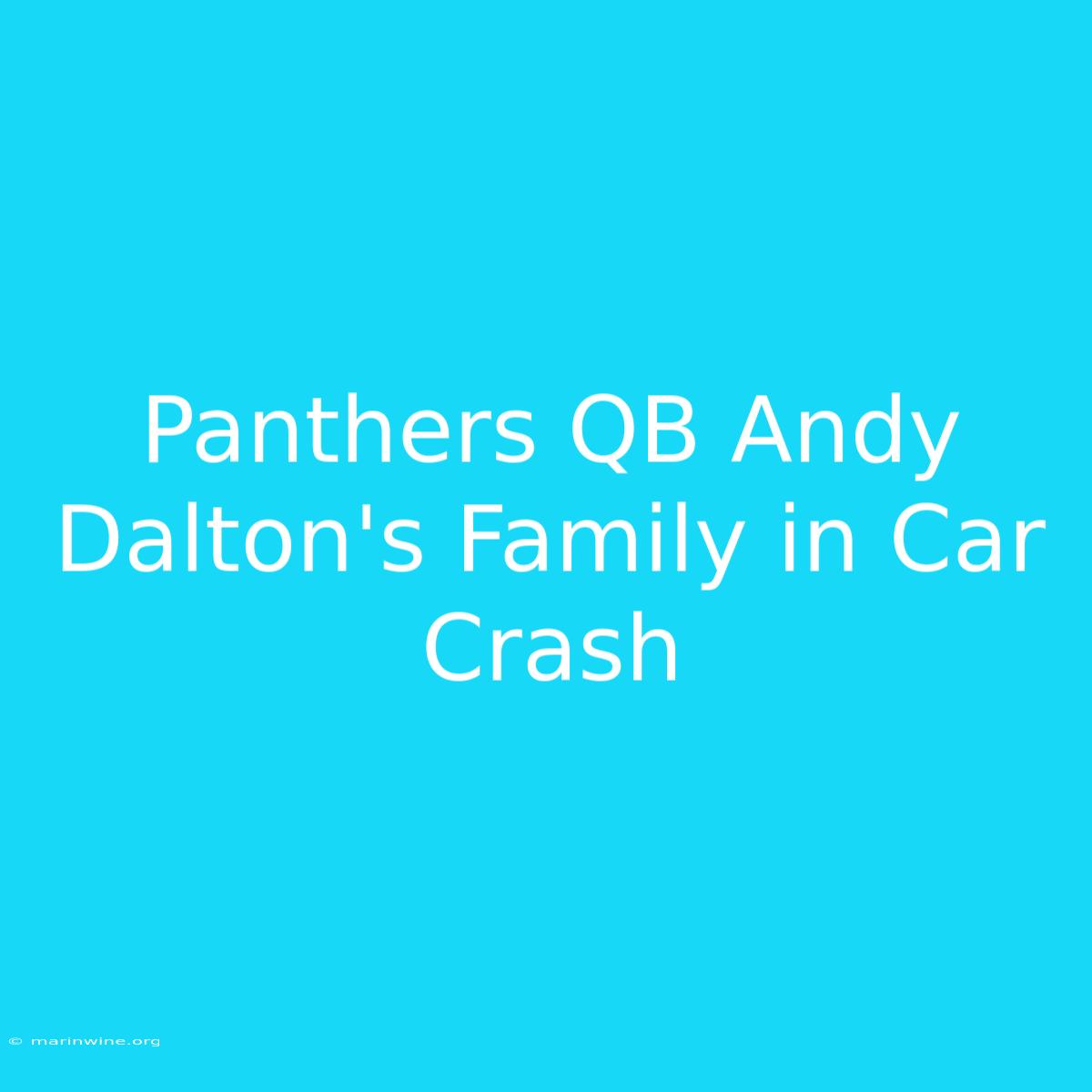 Panthers QB Andy Dalton's Family In Car Crash