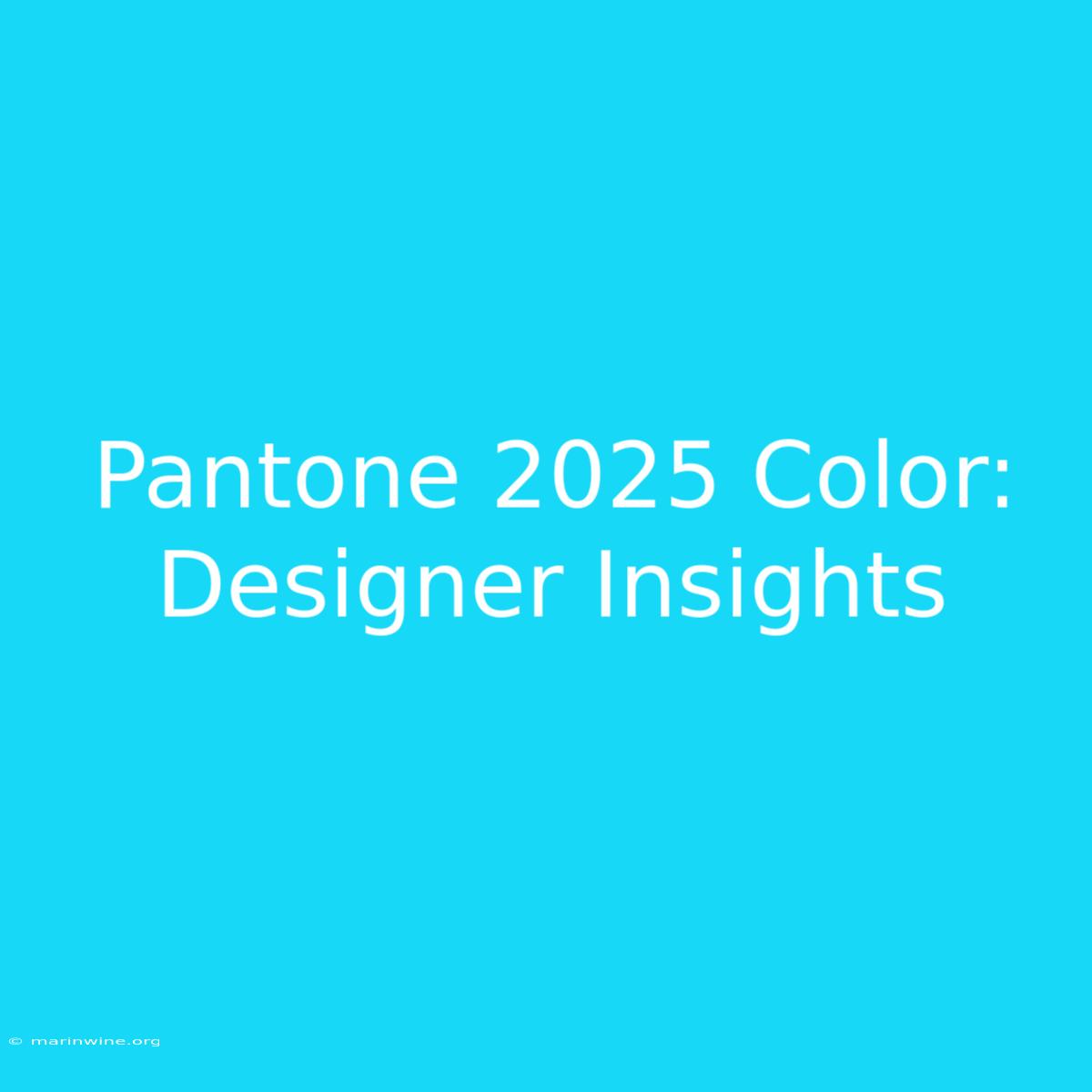 Pantone 2025 Color: Designer Insights