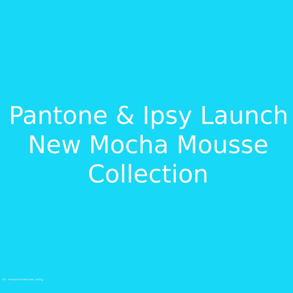 Pantone & Ipsy Launch New Mocha Mousse Collection