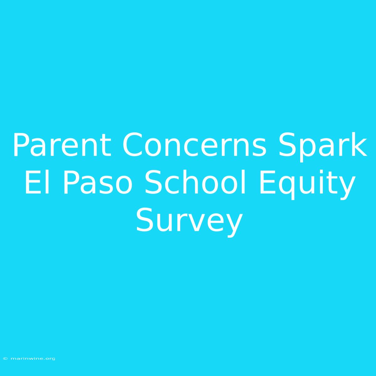 Parent Concerns Spark El Paso School Equity Survey 