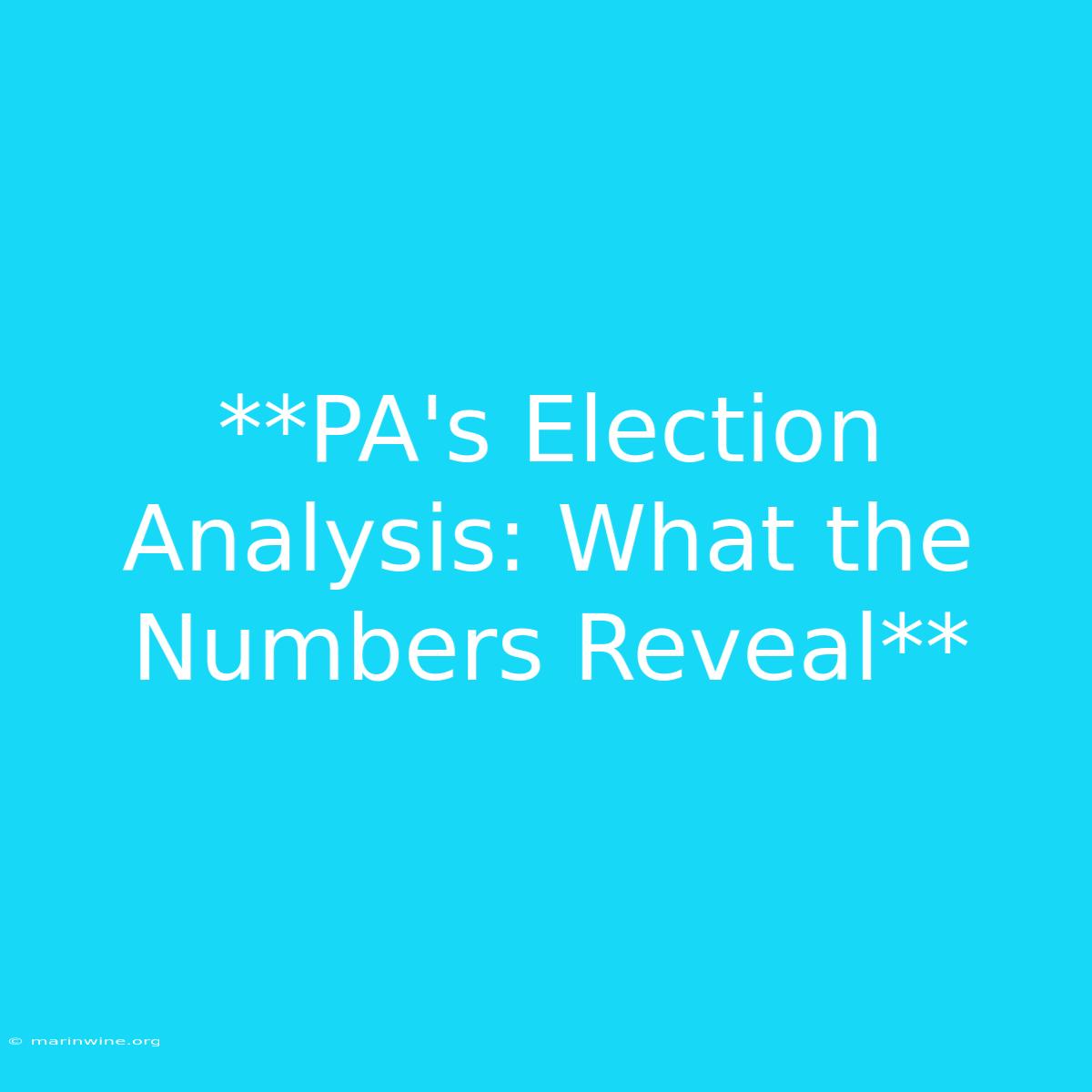 **PA's Election Analysis: What The Numbers Reveal** 