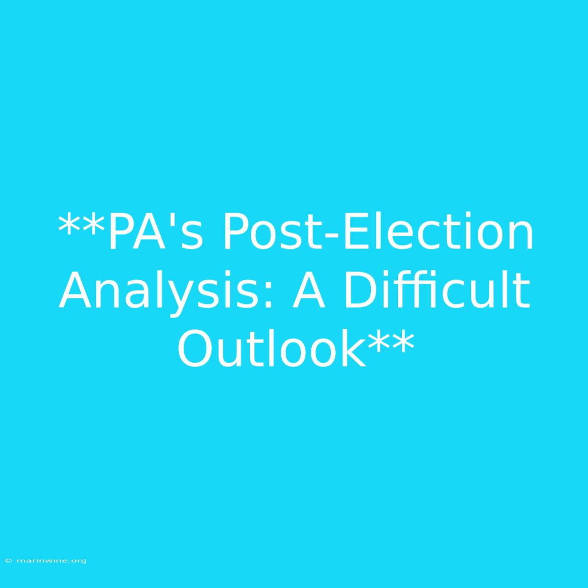 **PA's Post-Election Analysis: A Difficult Outlook** 