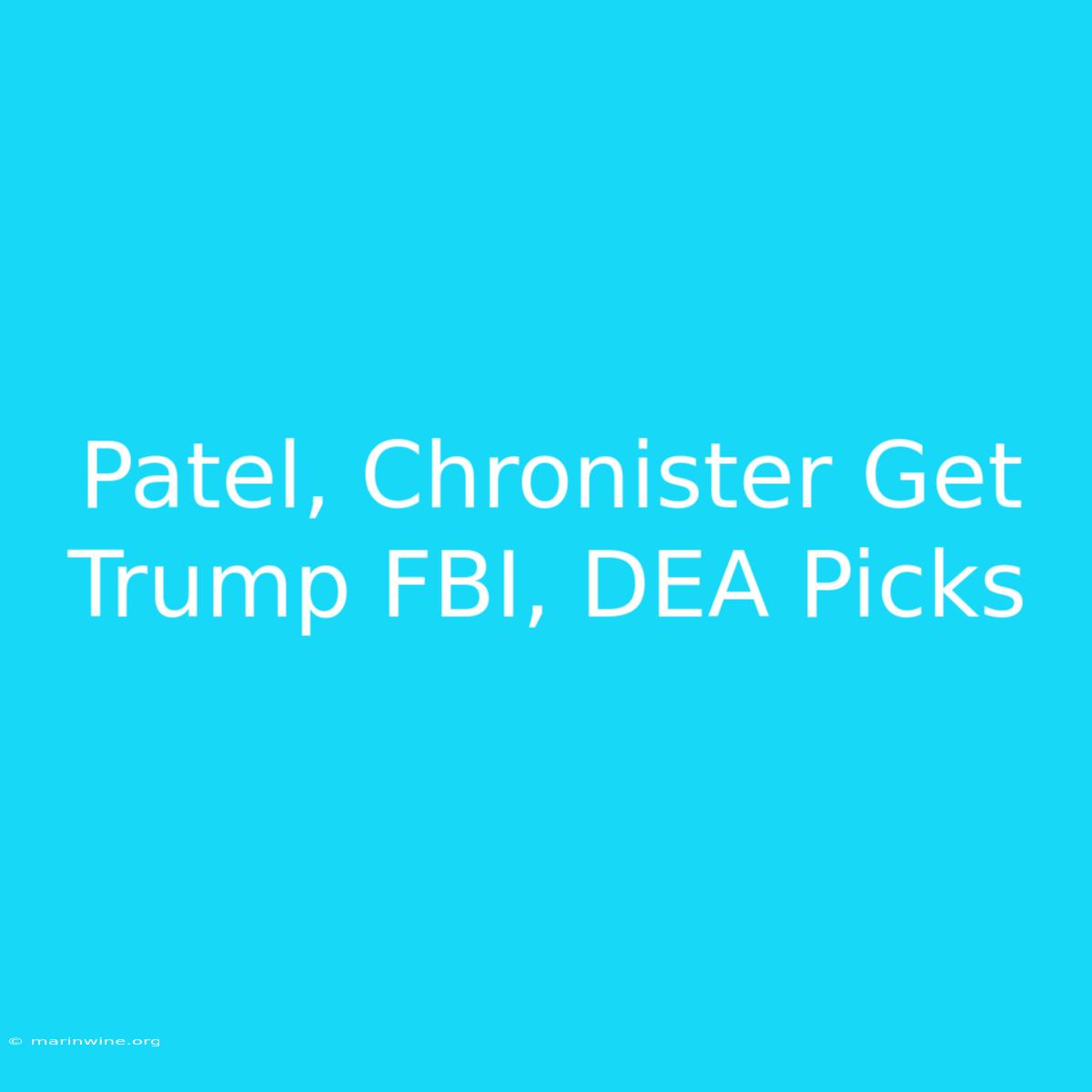 Patel, Chronister Get Trump FBI, DEA Picks