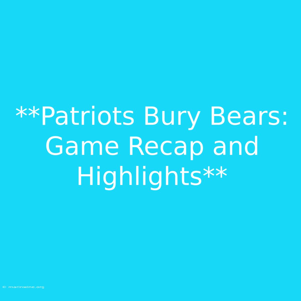 **Patriots Bury Bears:  Game Recap And Highlights** 