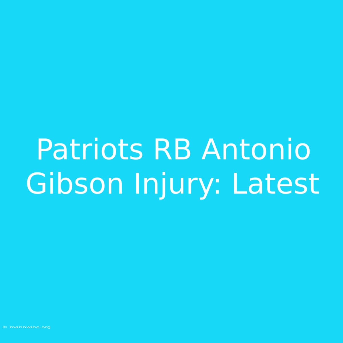 Patriots RB Antonio Gibson Injury: Latest 