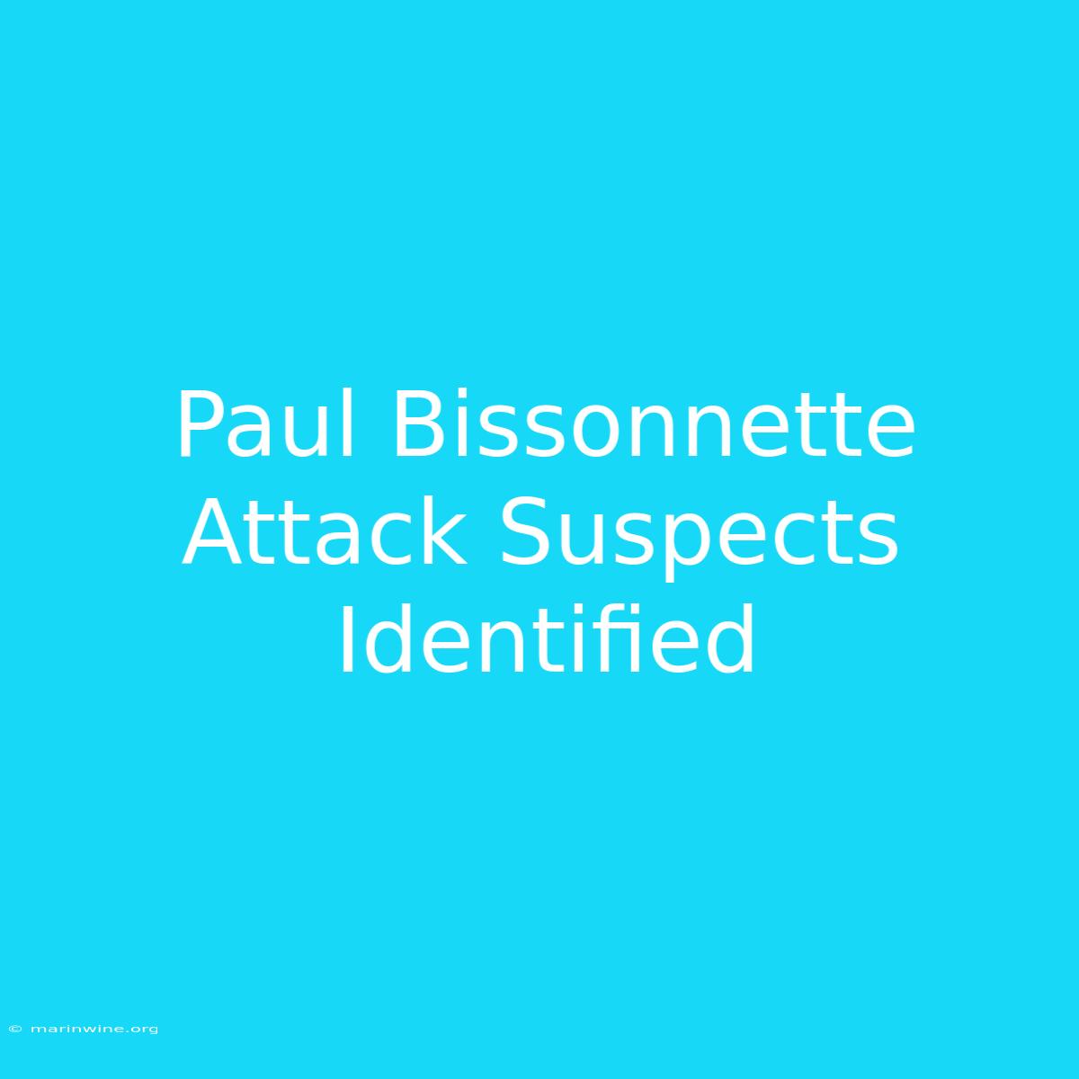 Paul Bissonnette Attack Suspects Identified