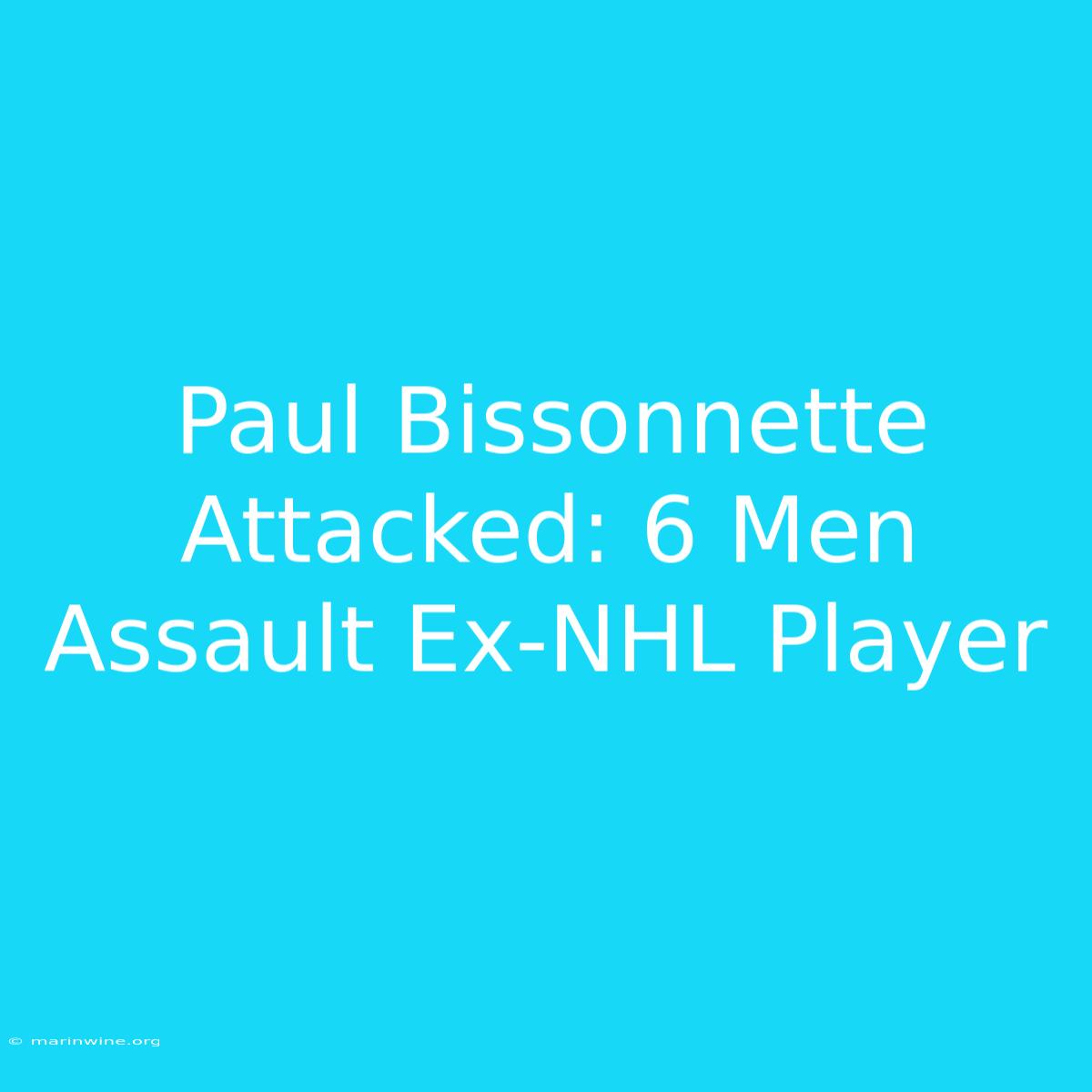 Paul Bissonnette Attacked: 6 Men Assault Ex-NHL Player