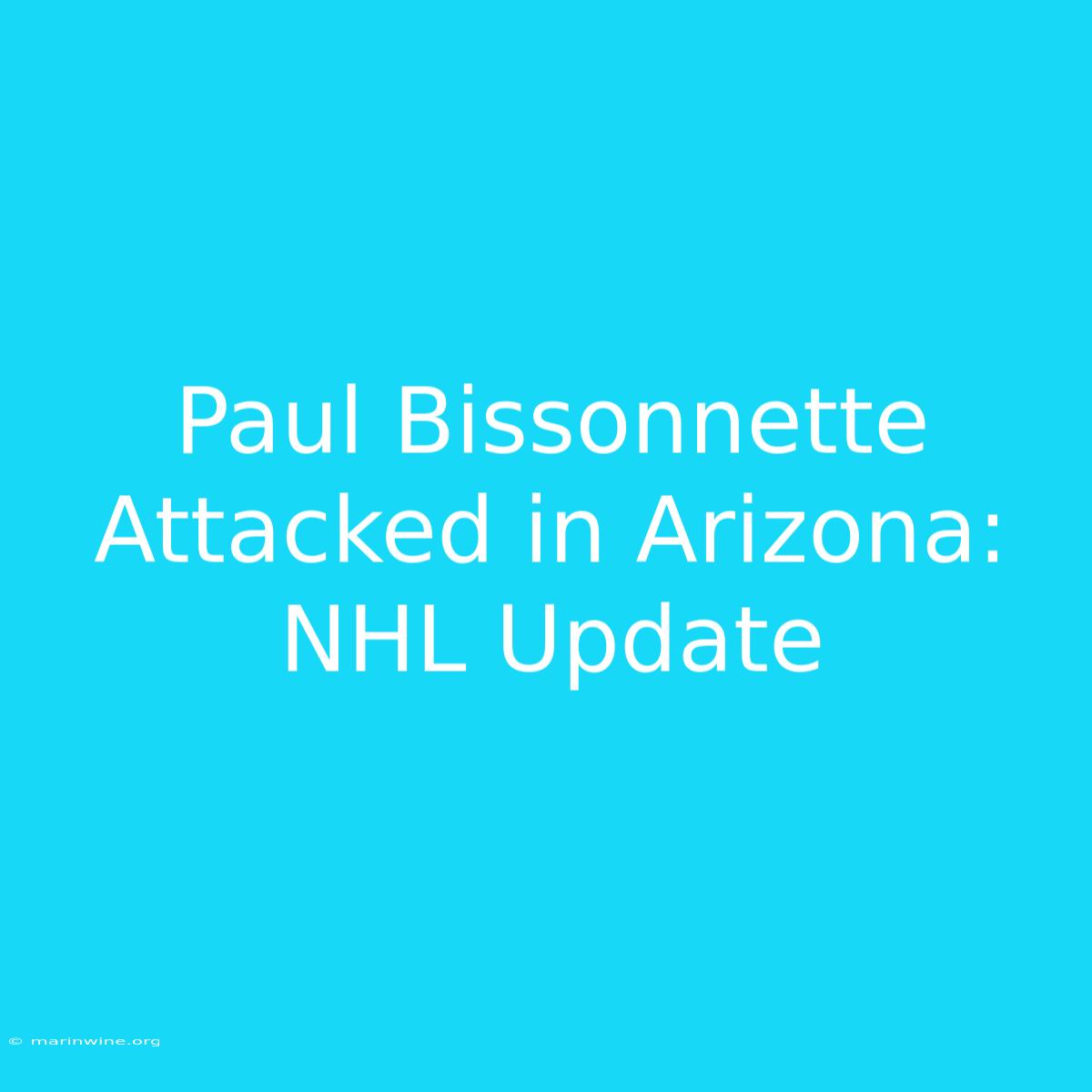 Paul Bissonnette Attacked In Arizona: NHL Update