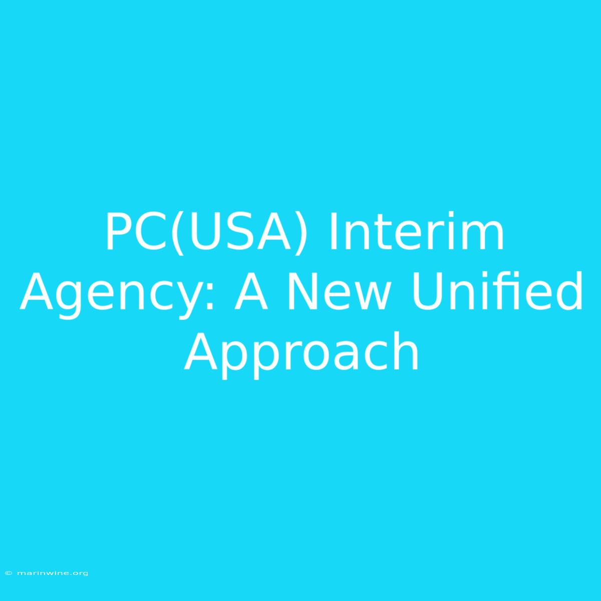 PC(USA) Interim Agency: A New Unified Approach