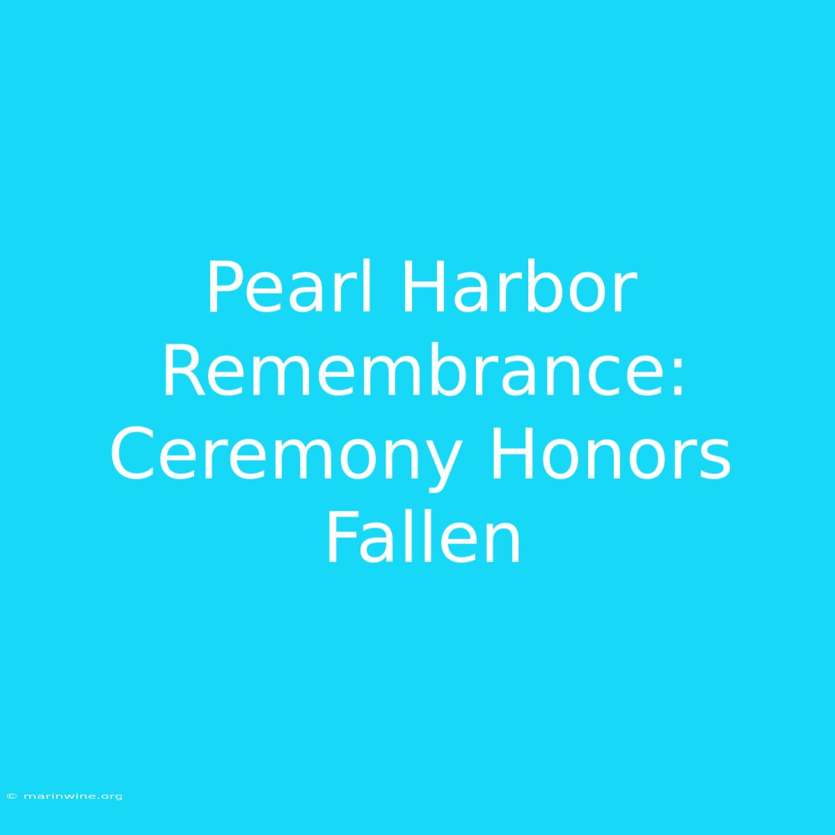 Pearl Harbor Remembrance: Ceremony Honors Fallen