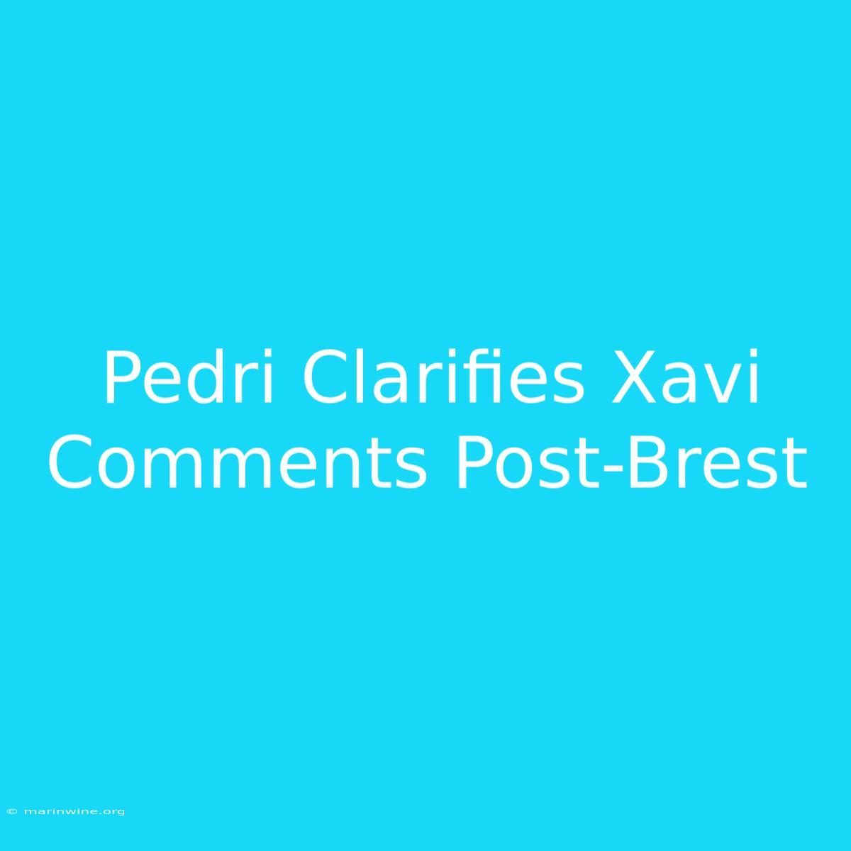 Pedri Clarifies Xavi Comments Post-Brest