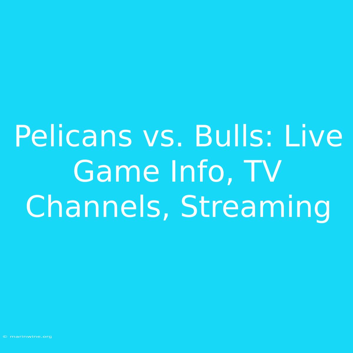 Pelicans Vs. Bulls: Live Game Info, TV Channels, Streaming 