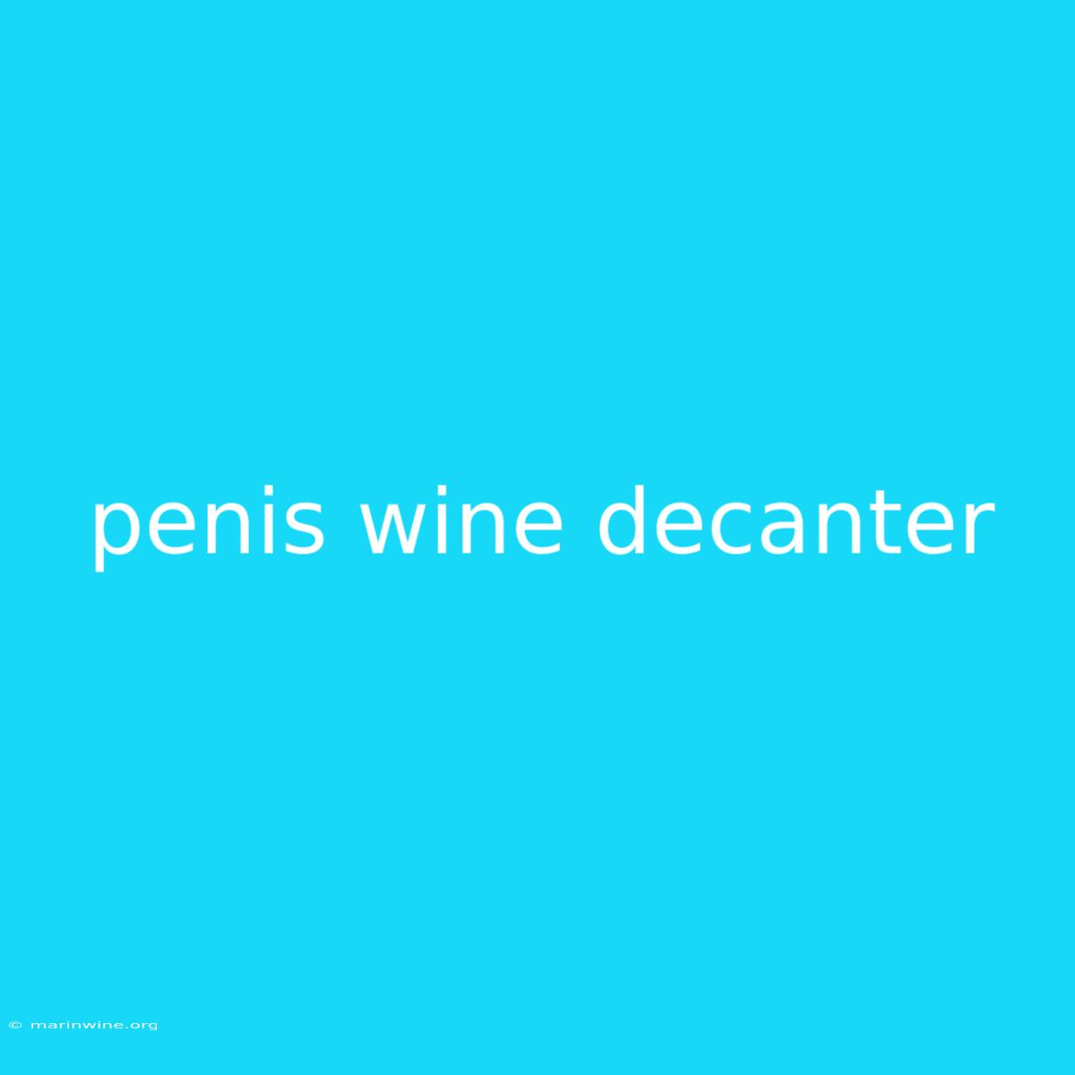 Penis Wine Decanter