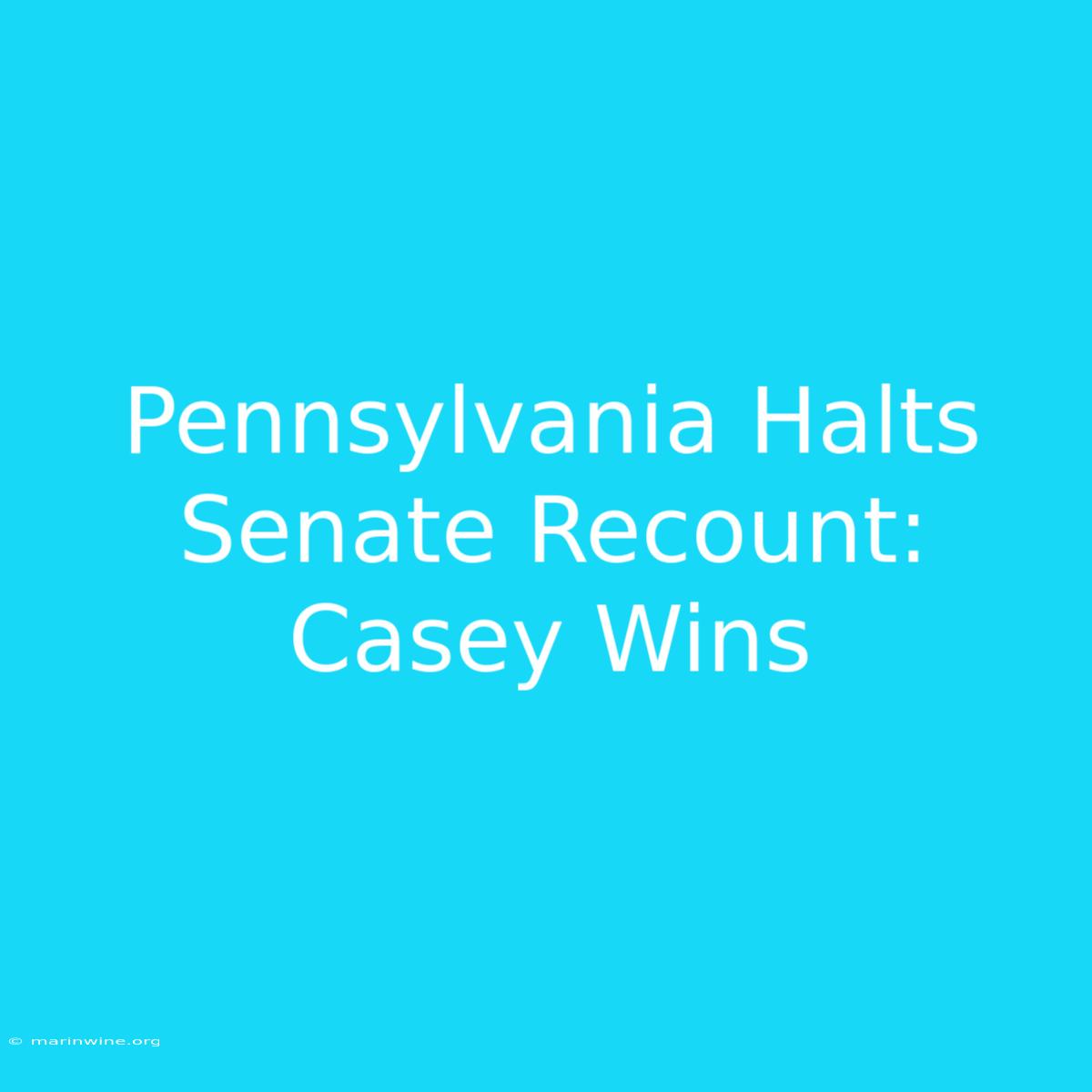 Pennsylvania Halts Senate Recount: Casey Wins