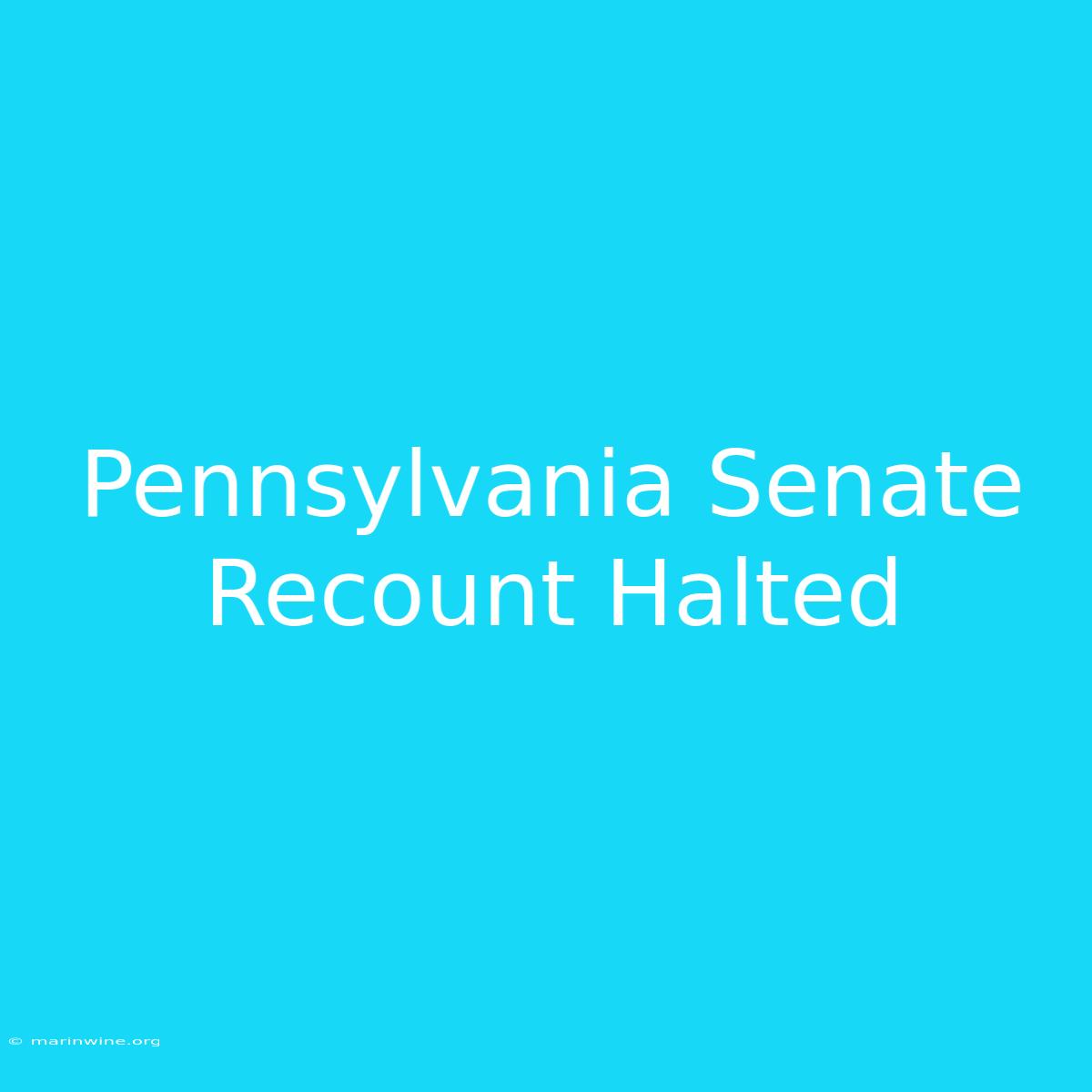 Pennsylvania Senate Recount Halted