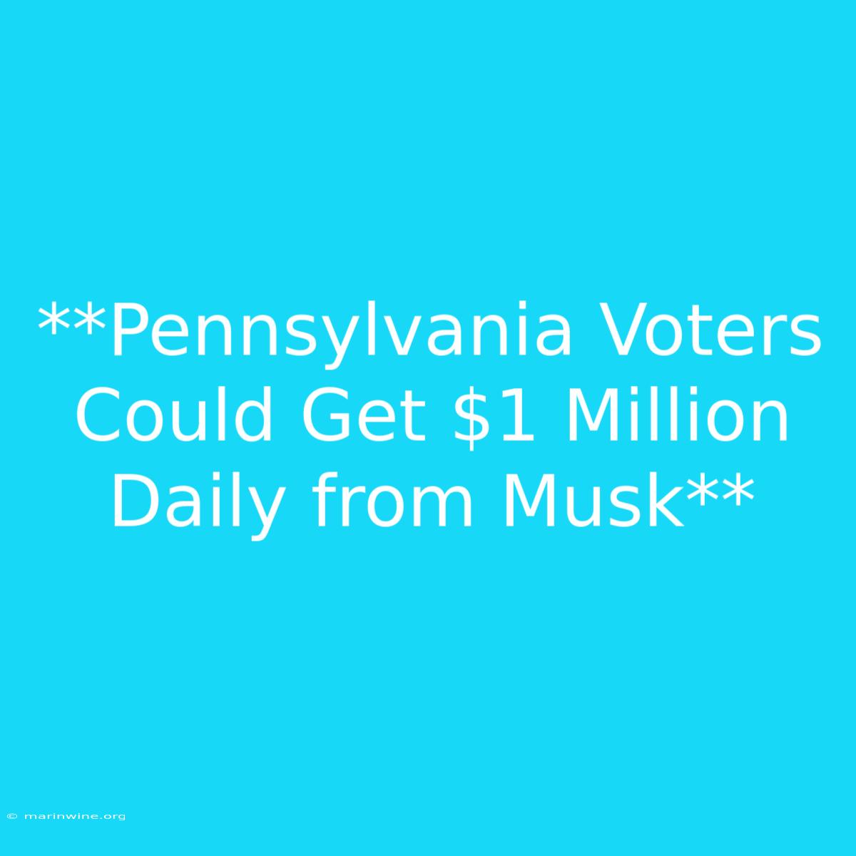 **Pennsylvania Voters Could Get $1 Million Daily From Musk**