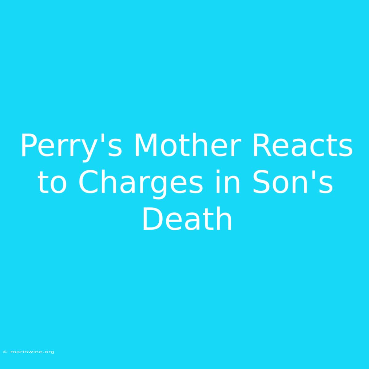 Perry's Mother Reacts To Charges In Son's Death