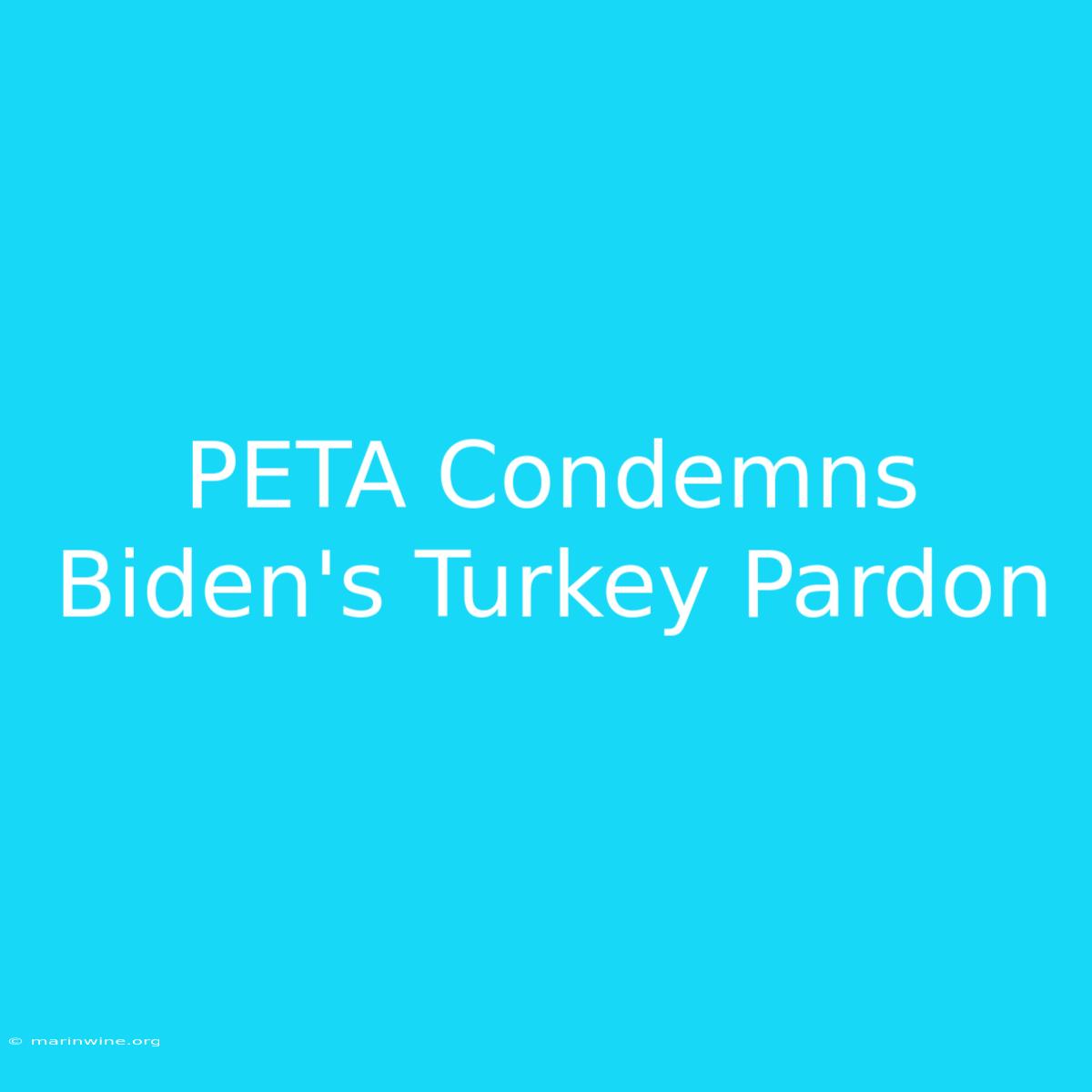 PETA Condemns Biden's Turkey Pardon