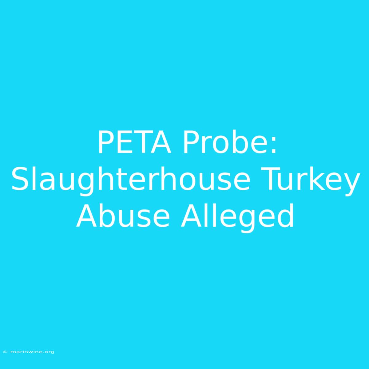 PETA Probe: Slaughterhouse Turkey Abuse Alleged