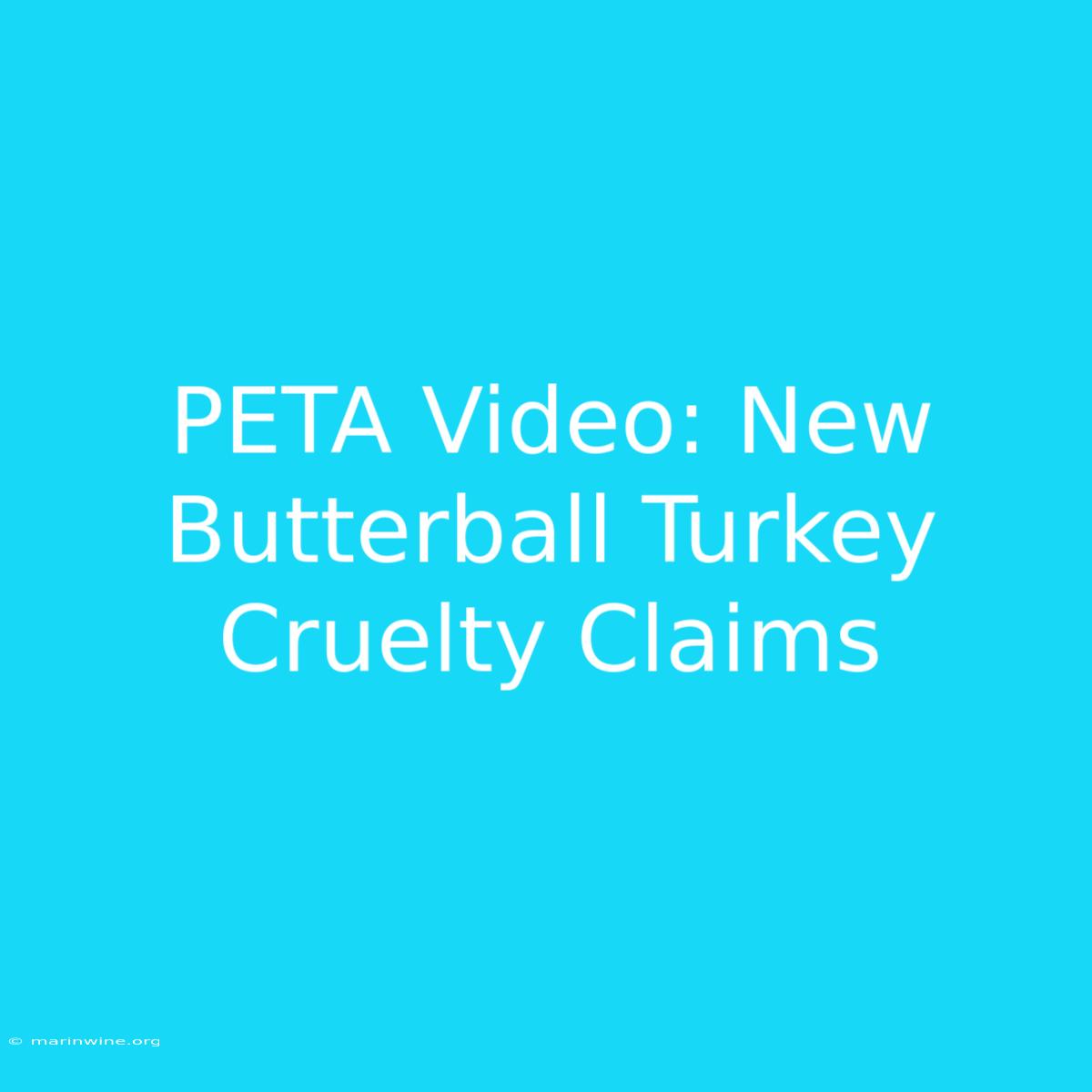 PETA Video: New Butterball Turkey Cruelty Claims