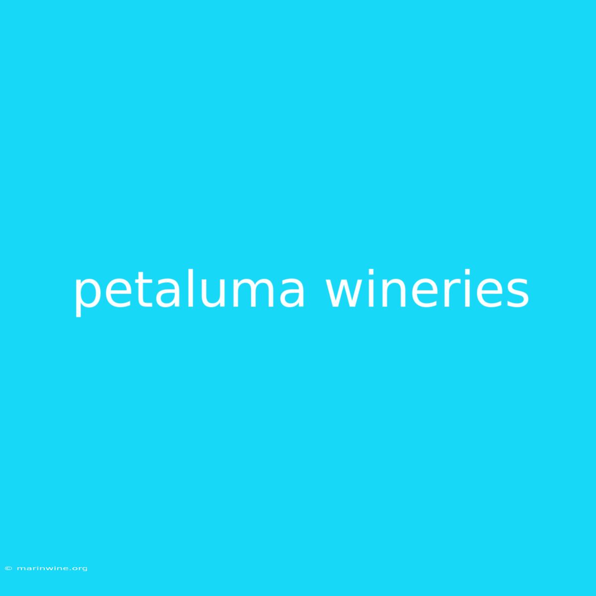 Petaluma Wineries