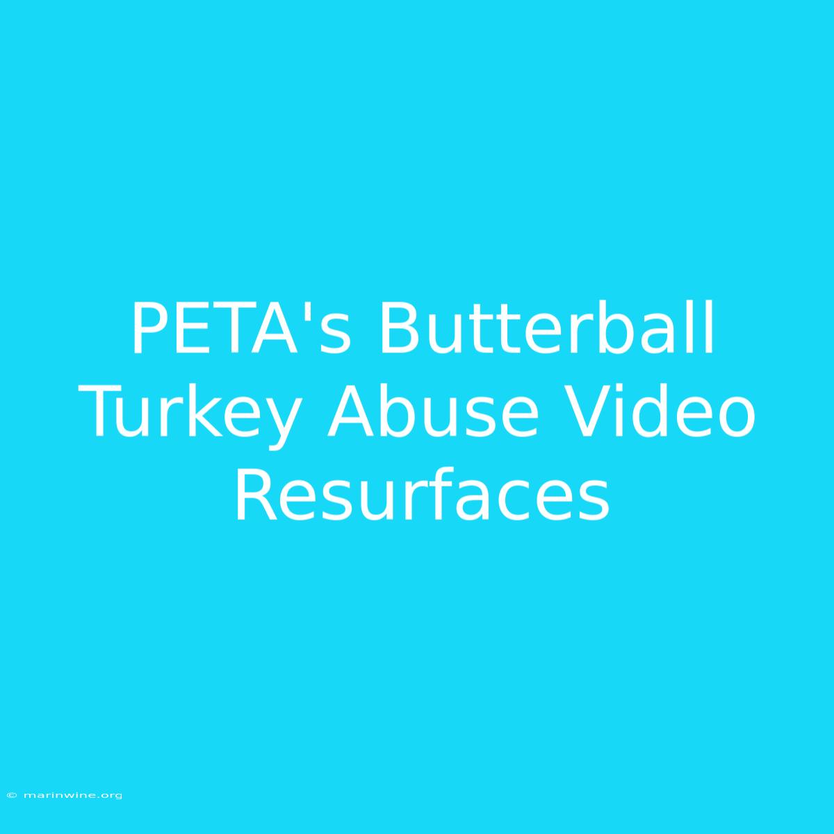 PETA's Butterball Turkey Abuse Video Resurfaces