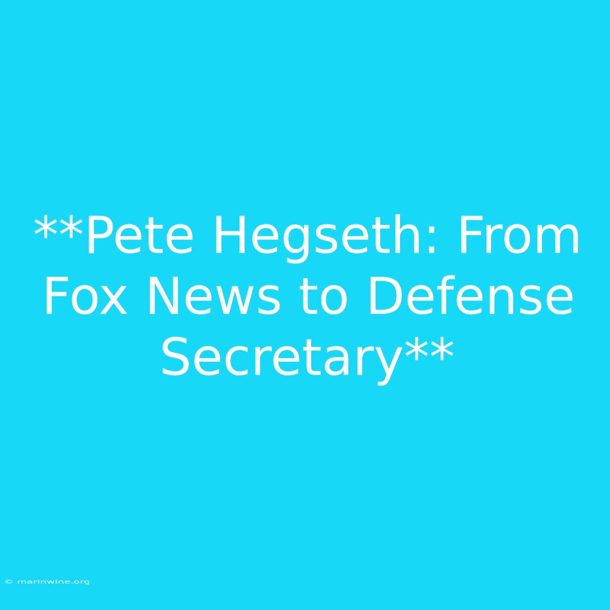 **Pete Hegseth: From Fox News To Defense Secretary**