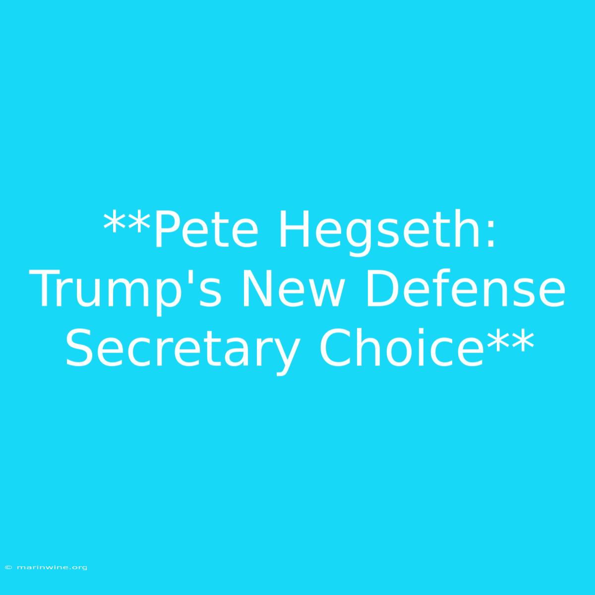 **Pete Hegseth: Trump's New Defense Secretary Choice**