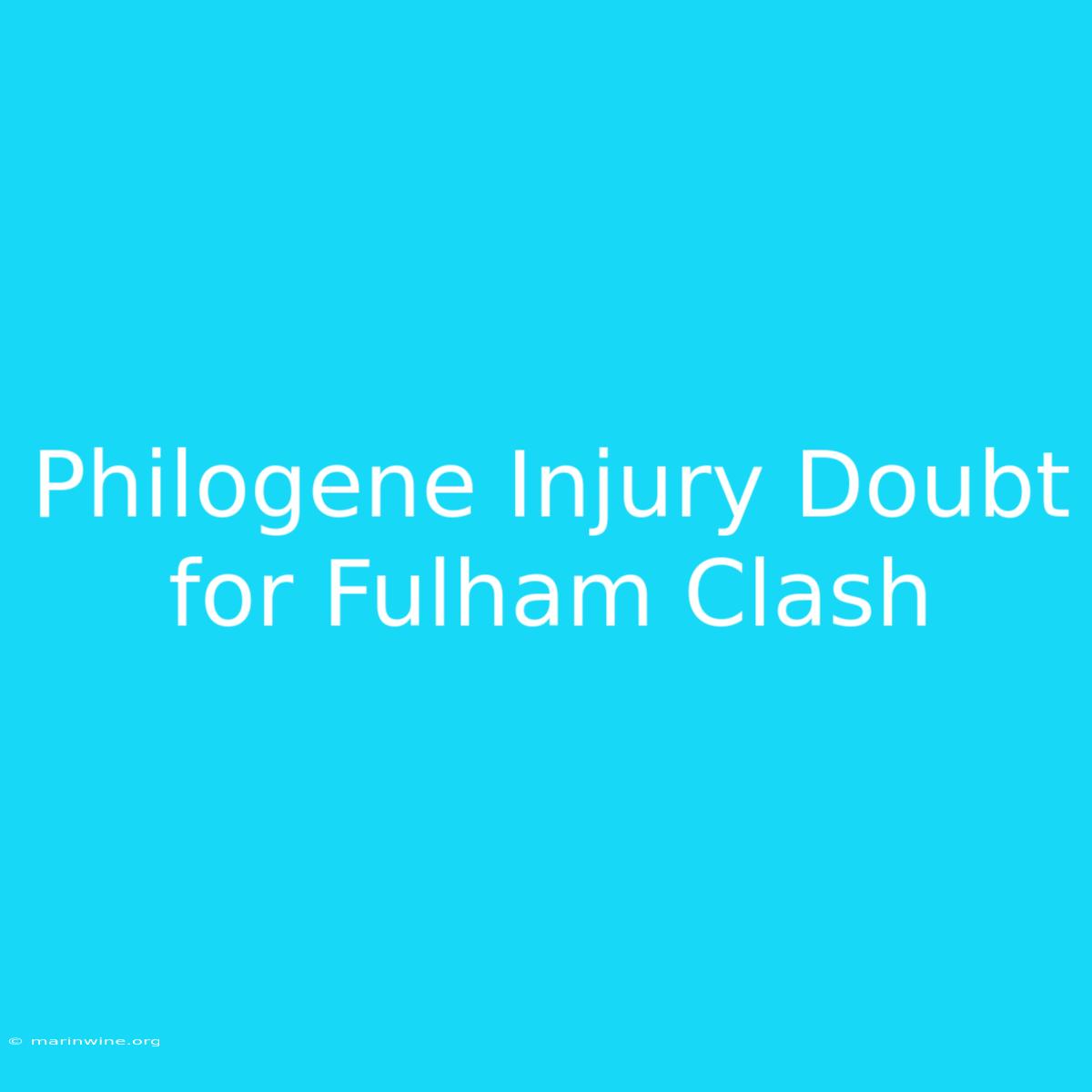 Philogene Injury Doubt For Fulham Clash