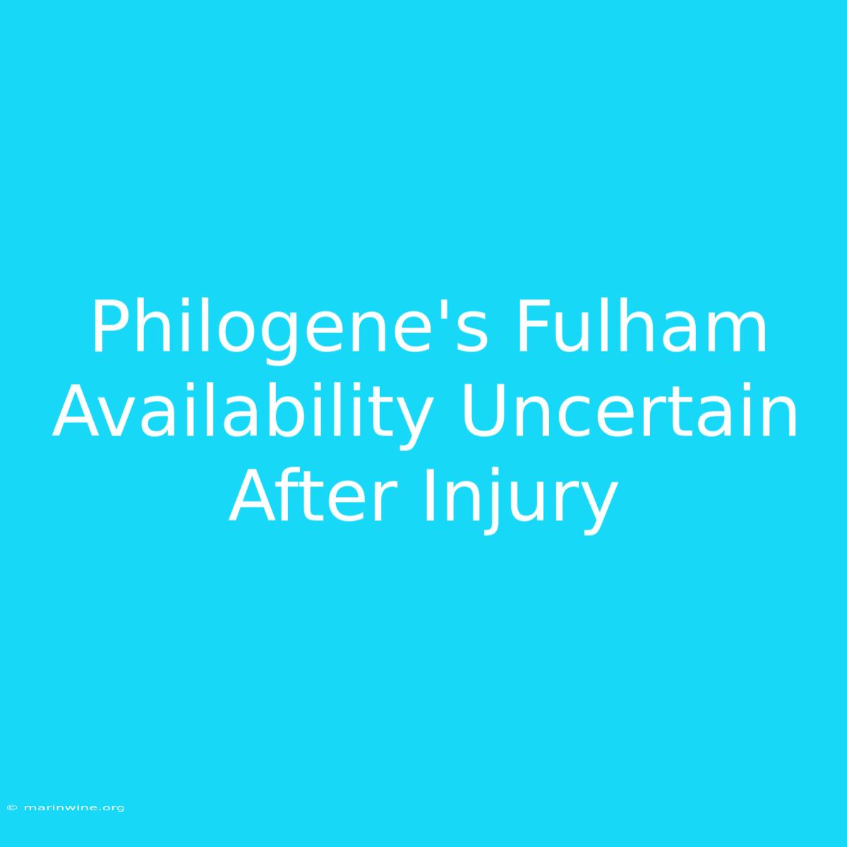 Philogene's Fulham Availability Uncertain After Injury 