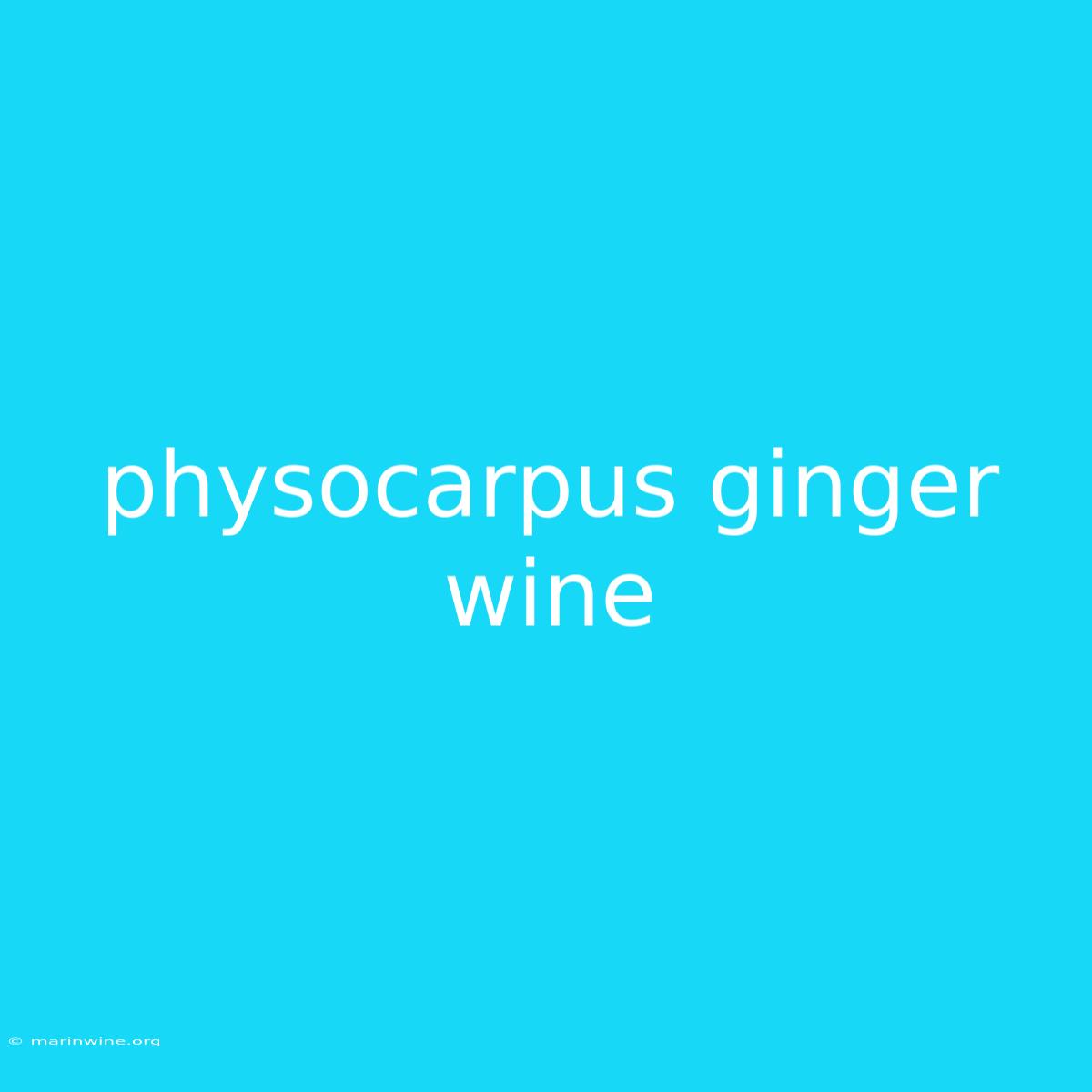 Physocarpus Ginger Wine