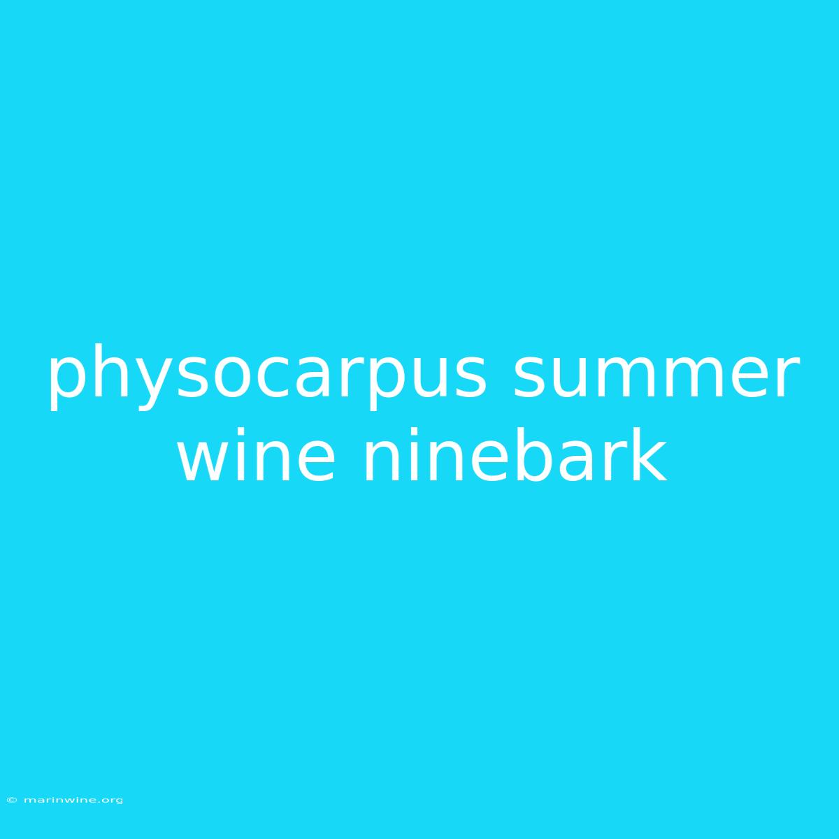 Physocarpus Summer Wine Ninebark