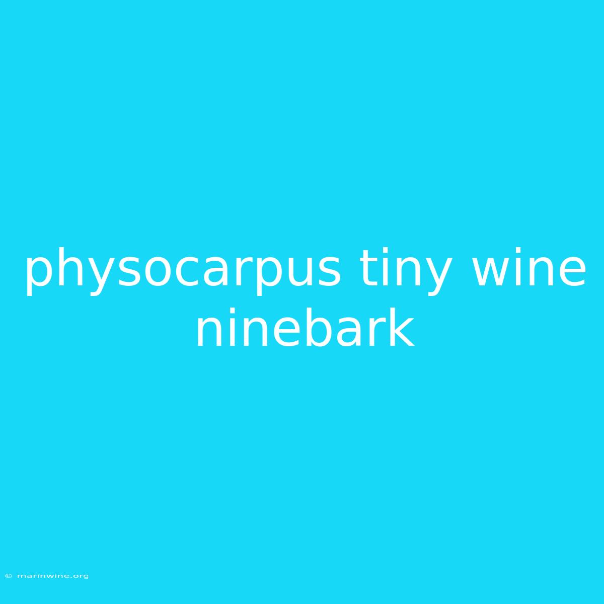 Physocarpus Tiny Wine Ninebark