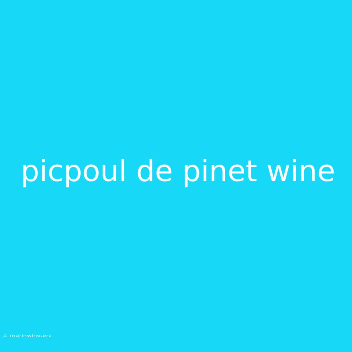 Picpoul De Pinet Wine