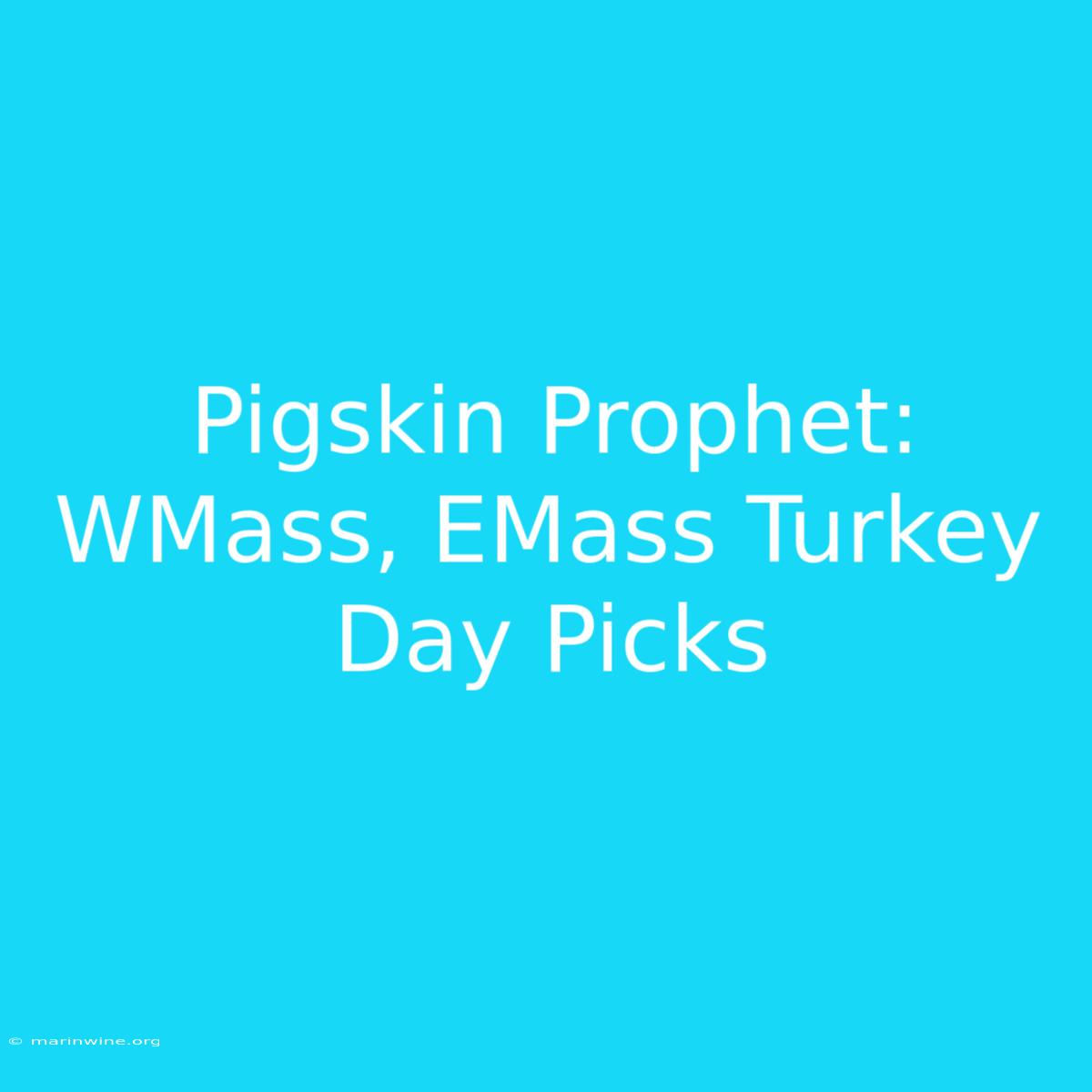 Pigskin Prophet: WMass, EMass Turkey Day Picks