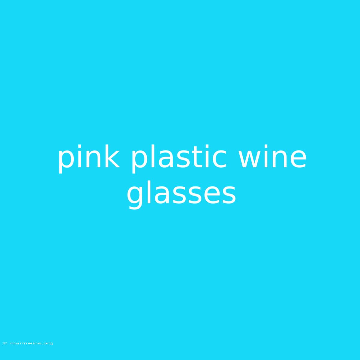 Pink Plastic Wine Glasses