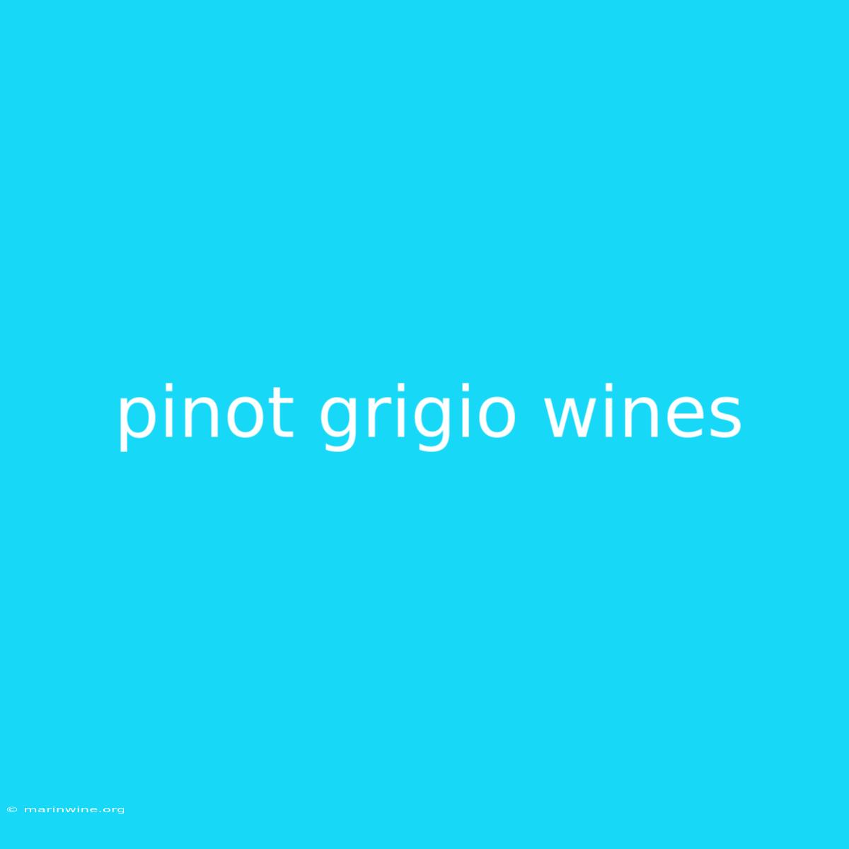 Pinot Grigio Wines