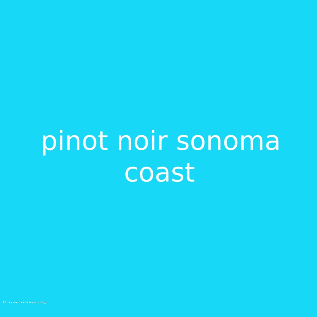 Pinot Noir Sonoma Coast