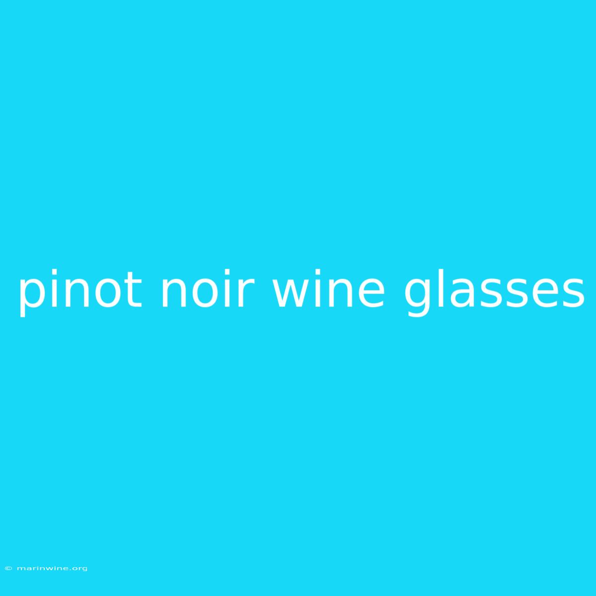 Pinot Noir Wine Glasses