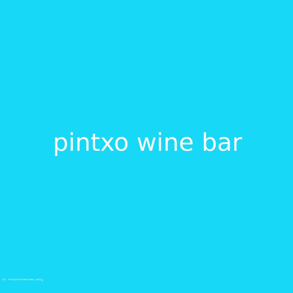 Pintxo Wine Bar