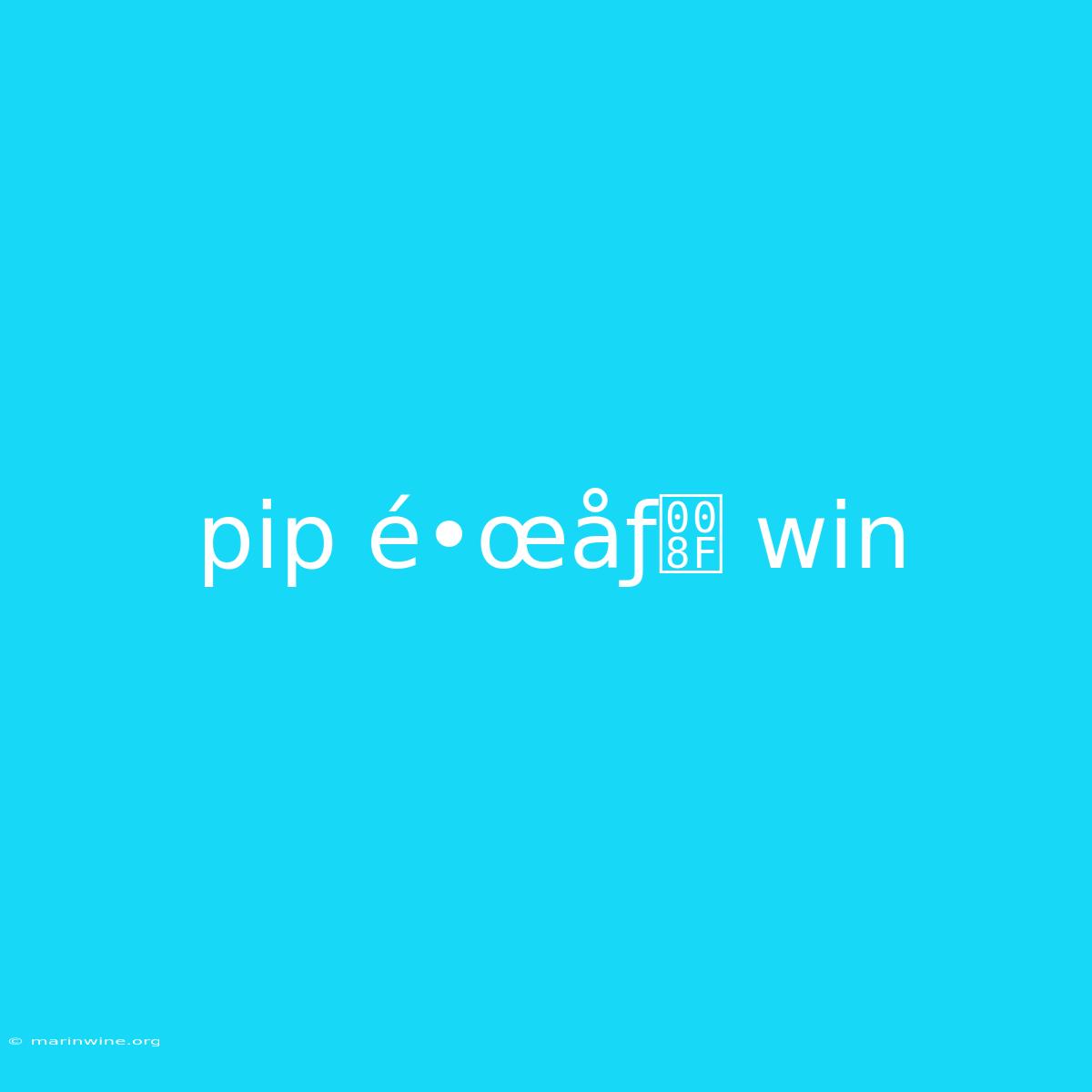 Pip É•œåƒ Win