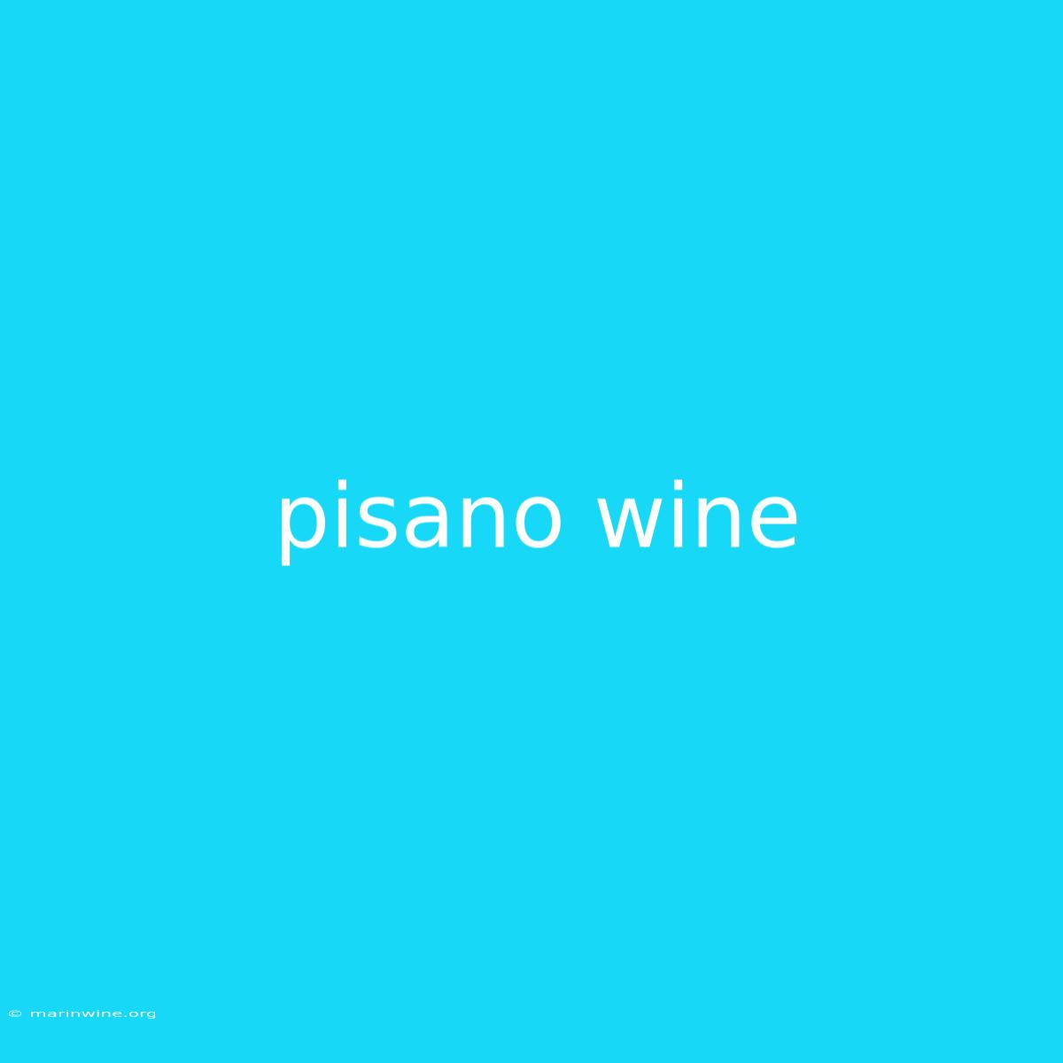 Pisano Wine