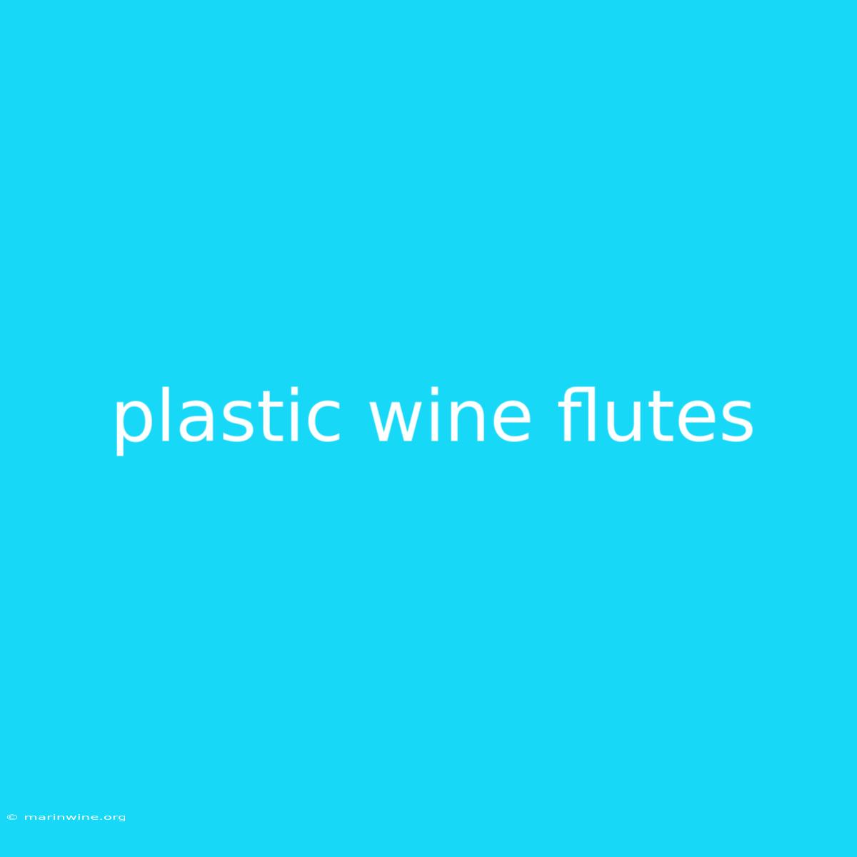 Plastic Wine Flutes